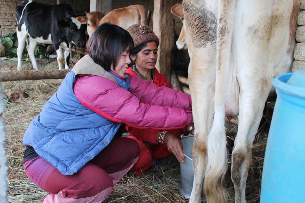 Annapurna Eco Village Pokhara Dış mekan fotoğraf