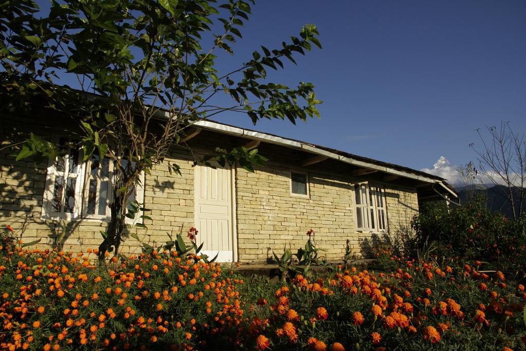 Annapurna Eco Village Pokhara Dış mekan fotoğraf