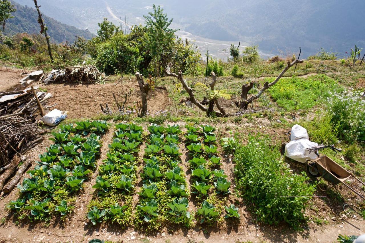 Annapurna Eco Village Pokhara Dış mekan fotoğraf