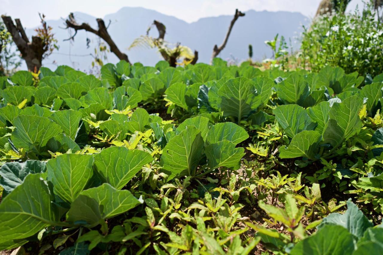 Annapurna Eco Village Pokhara Dış mekan fotoğraf